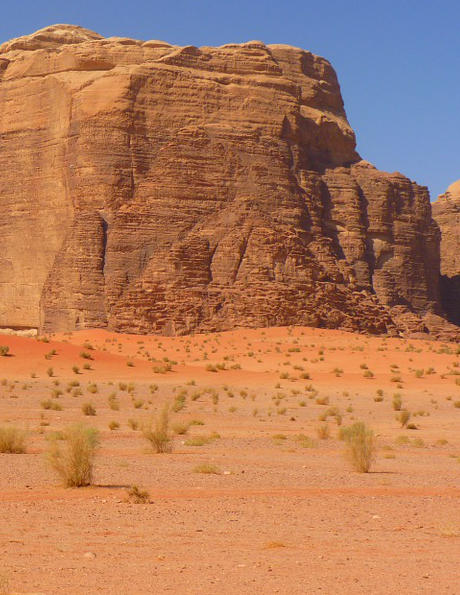 The Prophets Ayyub and Yunus (AS)